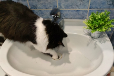 Тематическое фото ИА PriamurMedia