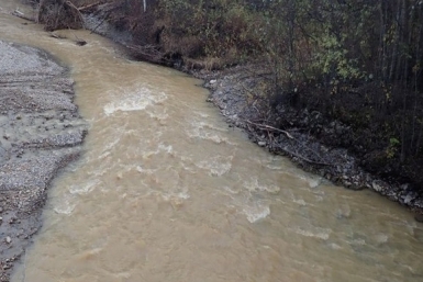 1,8 млн рублей за загрязнение реки взыскали с золотодобывающего предприятия в Приамурье Министерство природных ресурсов Амурской области