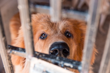 Чего нельзя делать 17 февраля