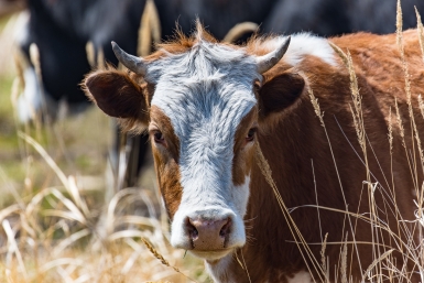 Чего ни в коем случае нельзя делать 18 февраля