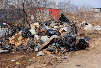 свалка, мусорка, мусор Евгений  Кулешов, ИА PrimaMedia.ru