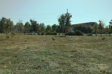 Семьи смогут использовать участки под ИЖС или развитие хозяйства Петр Максимов