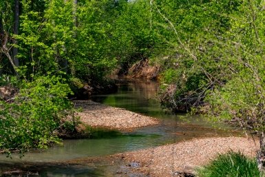 Ручей Илья Аверьянов, ИА PrimaMedia.ru