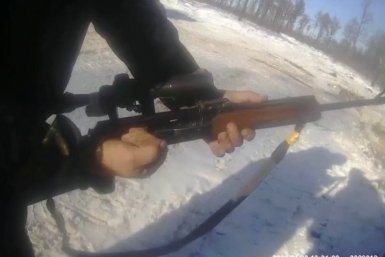 Амурчане отправились за дровами и &quotна всякий случай&quot взяли с собой ружья управление по охране животного мира Амурской области
