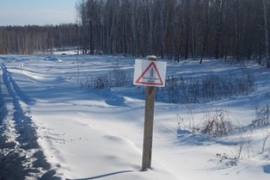 Спецтехника работала в охранных зонах ЛЭП без согласования Амурские электросети ДРСК
