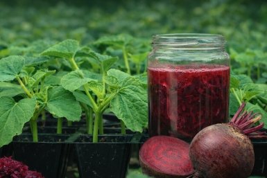 Тематическое фото сгенерировано ИИ Qwenlm.ai (18+)