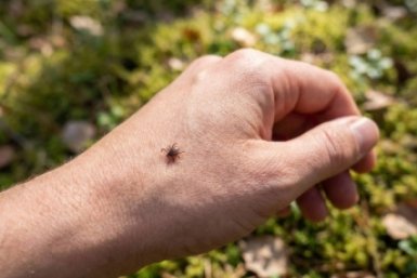 Тематическое фото ИИ Кандинский (18+)