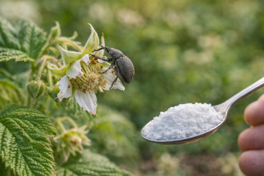 Тематическое фото Изображение сгенерировано ИИ Qwenlm.a (18+)