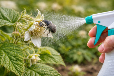 Тематическое фото Изображение сгенерировано ИИ Qwenlm.a (18+)