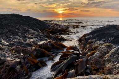 Тематическая фотография Максим Мажарин, ИА PrimaMedia