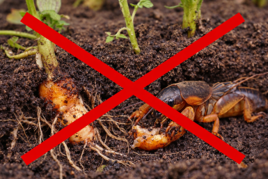 Тематическое фото Изображение сгенерировано ИИ Qwenlm.a (18+)