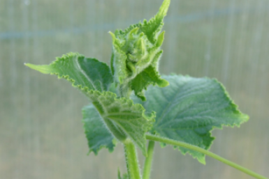 Тематическое фото ИА PrimaMedia