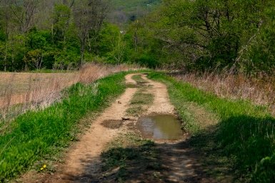 Дорога грунтовая Илья Аверьянов, ИА PrimaMedia.ru