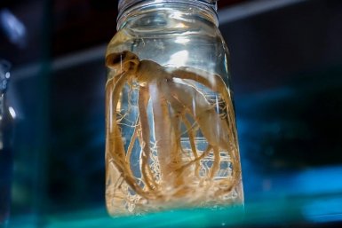 Тематическое фото ИА PrimaMedia