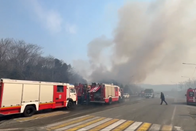 Частный дом полыхает на Шаморовской трассе во Владивостоке Скриншот из видео в ТГ-канале (18+) ГУ МЧС России по Приморскому краю