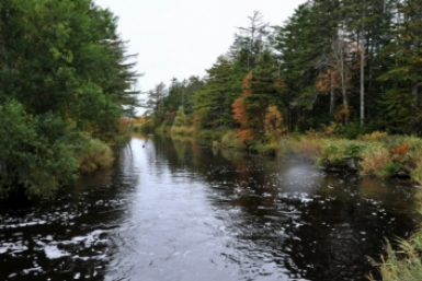 ООО &quotИридий&quot нанесло ущерб водным биоресурсам в Приамурье Юрий Гуршал, ИА SakhalinMedia