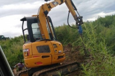 В регионе разработана &quotдорожная карта&quot по благоустройству и ликвидации бесхозяйных скотомогильников управление ветеринарии Амурской области