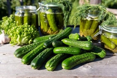 Тематическое фото сгенерировано при помощи ИИ