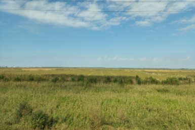 Поле Петр Максимов