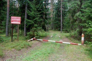 Запрет на посещение леса тг-канал (18+) Алексея Закурдаева