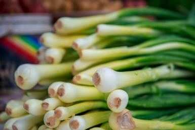 Тематическое фото ИА OmskMedia