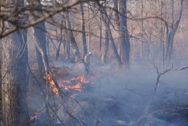 Восемь пожаров ликвидировали спасатели Приморья за сутки пресс-служба Министерства лесного хозяйства, охраны окружающей среды, животного мира и природных ресурсов Приморья