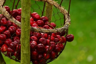 Тематическое фото pxhere.com