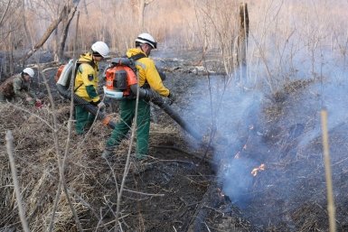 За выходные 30 га выгорело в Приморье пресс-служба Министерства лесного хозяйства, охраны окружающей среды, животного мира и природных ресурсов Приморья
