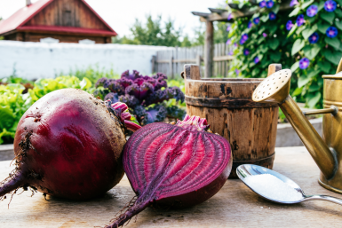 Тематическое фото сгенерировано при помощи ИИ