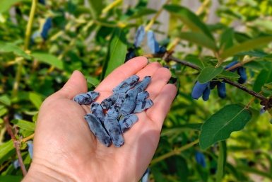 Тематическое фото Автора