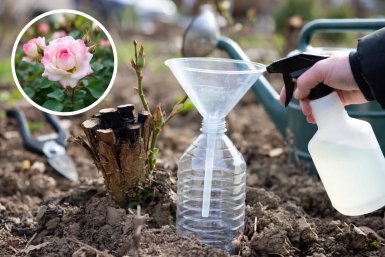 Тематическое фото сгенерировано при помощи ИИ