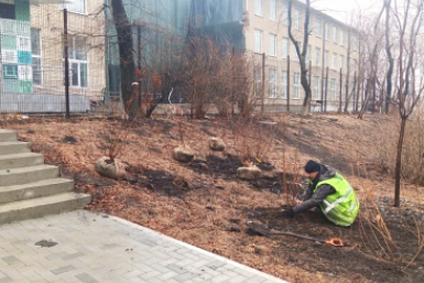 Во Владивостоке началась массовая высадка растений пресс-служба администрации Владивостока