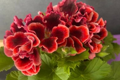 Тематическое фото ИА Stavropol.Media