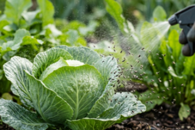 Тематическое фото сгенерировано при помощи ИИ