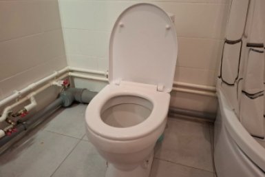 Бросаем 3 ложки в унитаз – забываем о налете и желтизне: в туалете пахнет, как в Версальских садах