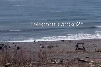 Тематическое фото Tg-канал &quotsvodka25&quot (18+)