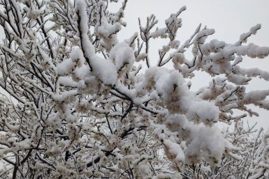 Снег ВК (12+) Елена Брежицкая