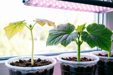 Тематическое фото сгенерировано при помощи ИИ