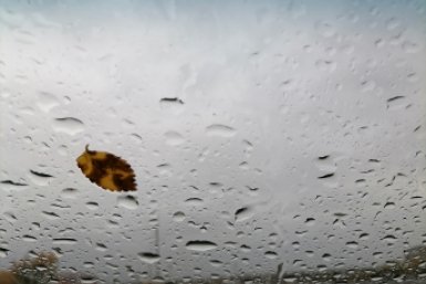 Погода, осень, дождь Анета  Абрамченко, ИА ChitaMedia