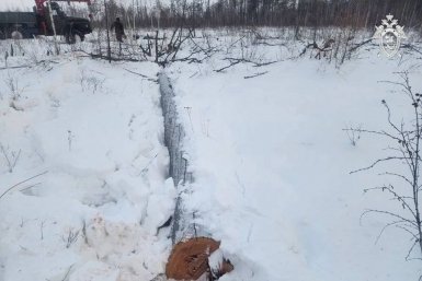 Материалы по факту незаконной вырубки леса выделены в отдельное административное производство СУ СК России по Амурской области
