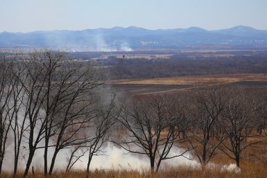 Напряжённая обстановка с пожарами сохраняется в лесах Приморья Пресс-служба правительства Приморья