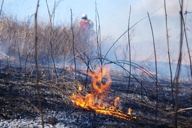 Огонь не щадит леса пресс-служба Министерства лесного хозяйства, охраны окружающей среды, животного мира и природных ресурсов Приморья