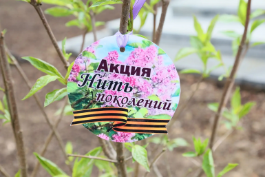 Тематическое фото мэрия Биробиджана