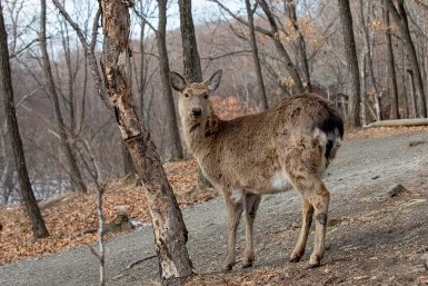 Сезон подкормки завершается в южных и центральных заказниках Мария Смитюк, ИА PrimaMedia.ru