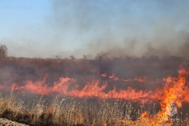 За последние сутки огонь прошел еще 280 га ГУ МЧС России по Амурской области