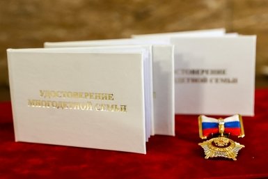Порядок продления единого пособия для многодетных семей упрощён в Приморье Иван Дякин, правительство Приморья