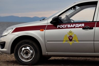 Пара из Москвы задержана во Владивостоке с синтетическими наркотиками, спрятанными в пластилине Пресс-служба Управления Росгвардии по Приморскому краю