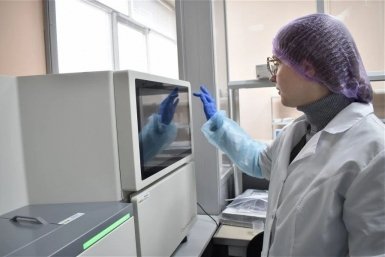 В Приморье за четыре дня выявили редкое генетическое заболевание у годовалого ребёнка пресс-служба Минздрава Приморья