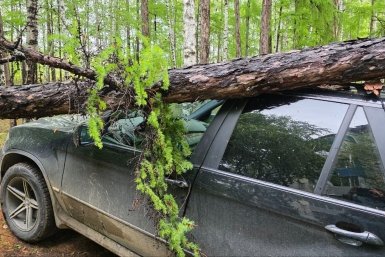 ЧП в Зее: сильный ветер повалил дерево на автомобиль