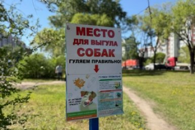 В Благовещенске приступили к строительству спецплощадки для собак тг-канал (16+) мэра Благовещенска